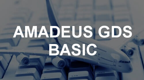 AMADEUS BASIC